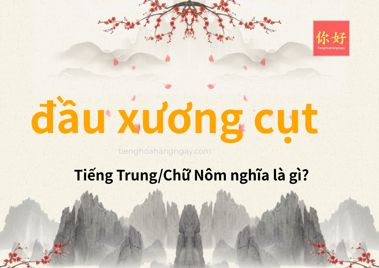 đầu xương cụt tiếng Trung là gì?